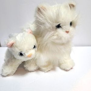 SOLD-FUR REAL PERSIAN CAT and AURORA KITTEN PAIR